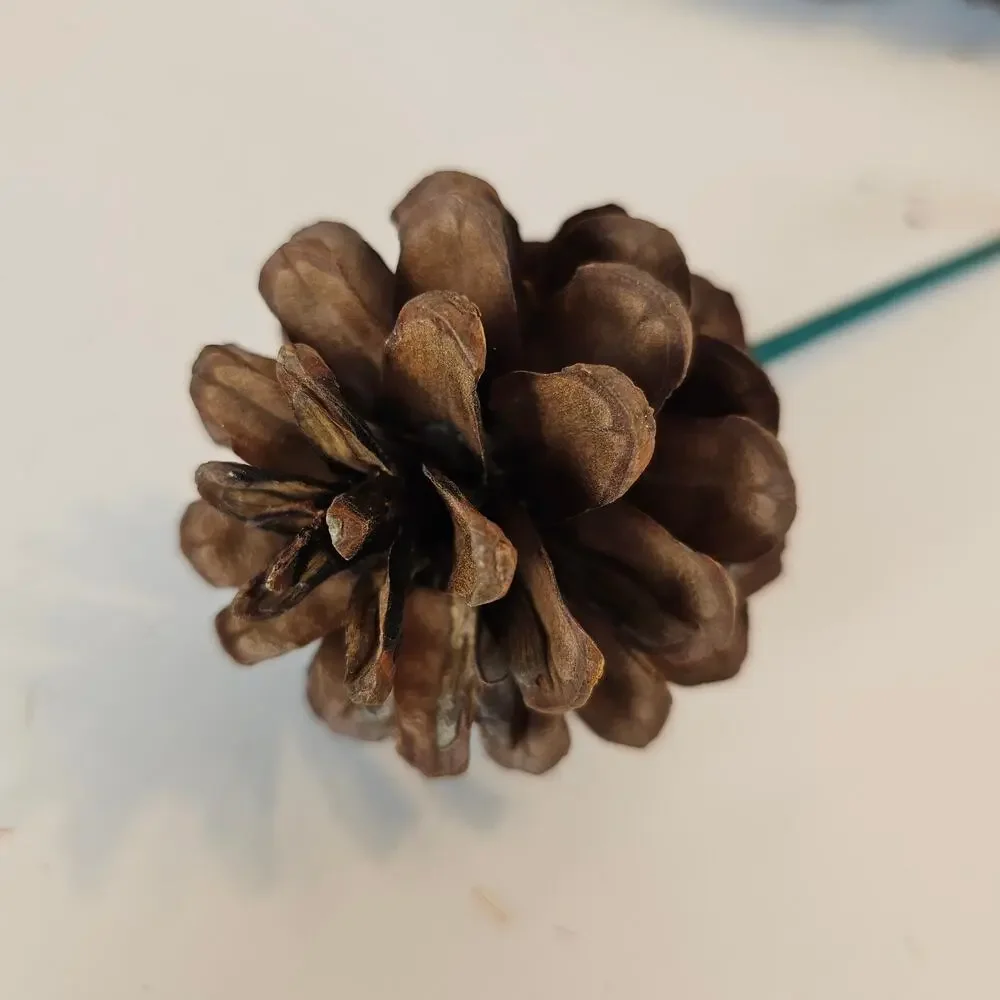 30 Natural Pine Cone Floral Picks 7in Green Wood Stems Wreath Craft Rustic Decor